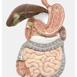 Діаграма стану 5