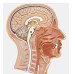 Діаграма стану 4